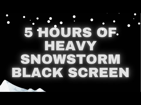😴 5 hours black screen of winter snowstorm blizzard and wind sounds | 森林浴