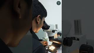 Student Feedback - IIG South