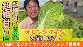We will be doing the crowdfunding campaign again this year: "Agricultural YouTuber wants to revit...