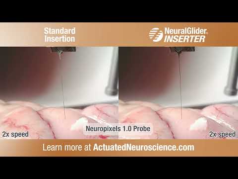 NeuralGlider Neuropixels 1.0 Probe Comparison