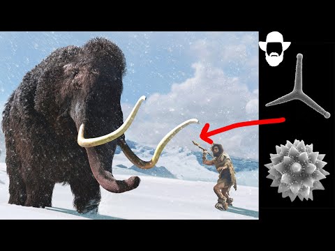 The Origin of Ice Age Weapons; Not What You Think