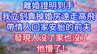 【情感故事】離婚證明到手，我立刻賣掉婚房遠走高飛，帶情人回家安胎的前夫，發現家沒了他懵了！#故事 #人生哲理