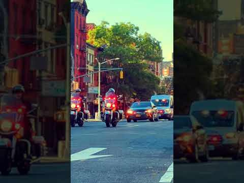 The 5 NEW YORK SECRETS Only Locals Know