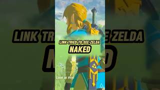 I Can’t Believe Link Did THIS to Zelda