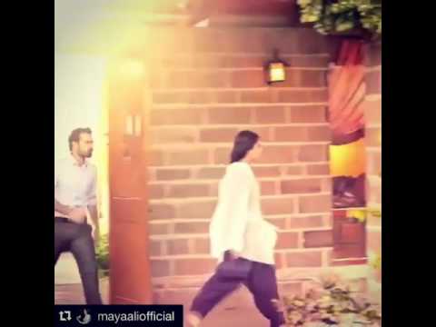 Man Mayal
