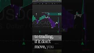FX Morning Mayhem - WaveriderTradingTechnologies - Leverage the AI Edge - Syzygy AI Edge