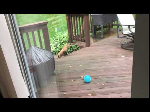 IMG_5188.TRIM.MOV