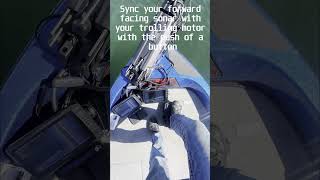 Livescope mount Livescanner did it again !