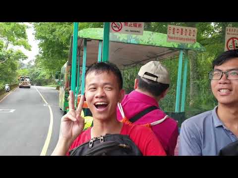 Sở thú ở Đài Loan có gì ? Go with Ying . Taipei Zoo !