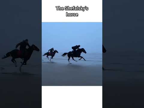 Facts about Horses.  #shorts