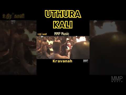 Uthura kali " Available MMP YouTube channel.... https://youtu.be/QZtn2wXSdF4?si=Gu0ndE3QrhoWWvuJ