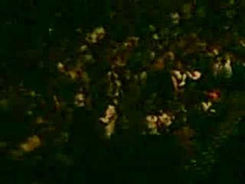 Frankie Beverly & Maze LIVE