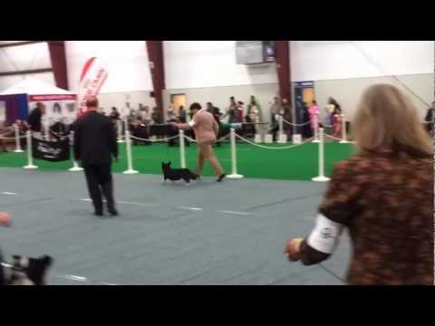 video 2012 10 28 11 04 34