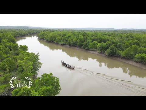 Building Coastal Resilience Through Collective Philanthropy