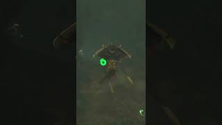 Even more attack boost with the Barbarian Helm… #totk #zeldatearsofthekingdom #zelda