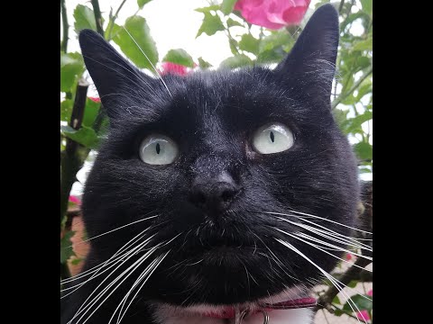 Welcome To My Channel!