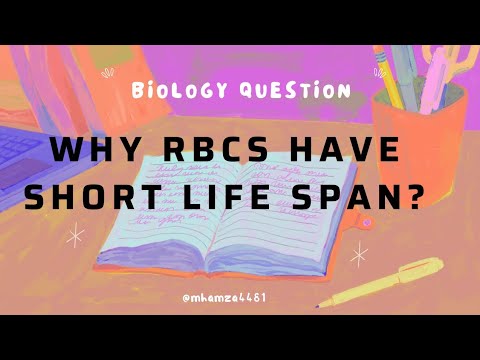 Why RBCs have short life span? #red blood cell#biology #hamza