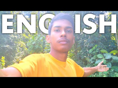 Learn English with Nature 🏕️| Comprehensible Input