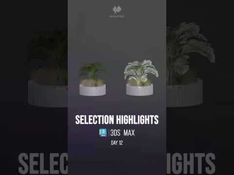 #3dsmax | Selection Highlights
