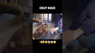 Monke React Magic 😳😱