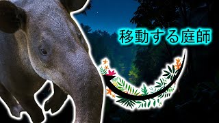 バク | 動物ドキュメンタリー