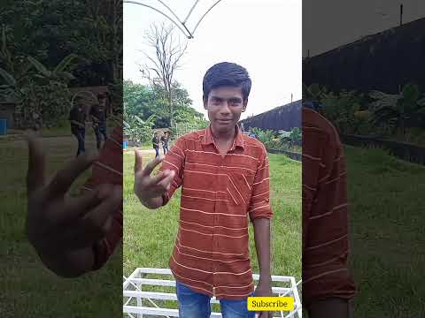 জুস পিলাদো, Bangla funny shorts. #shorts #shortsfeed #youtubeshorts