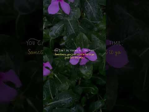 Saawan😍 #travel #mountainvibes #weatherforecast #weatherreport #barish #rain