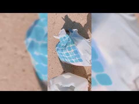 ゴミと貝殻拾い in 宮島