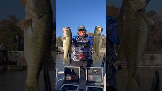 2nd Place Finish on Harris Chain after 14th Place in Bassmaster Opens