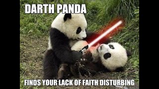 TRY NOT TO LAUGH: Panda Edition | Cute and Funny Panda Compilation
