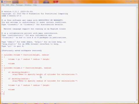 R Programming Function Arguments