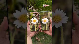 Vivo X200 Series Comparison #shorts