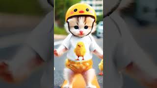 Cute cat dancing #ytshorts #cat #youtubeshorts #catlover #mrhow #mrbeast #growwithjunaid #mr #dogs
