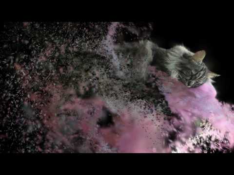 Gaussian Splatting First Test (with my cat , of course)
