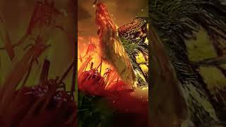 #chillvibes #lofibeats #loficommunity #lofihiphop #lofimusic #butterfly #animation