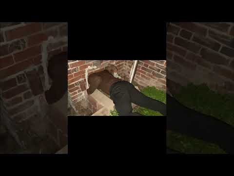 WHERES THAT GHOST GOING TO GO??? #ghost #scary #funny #cavediver