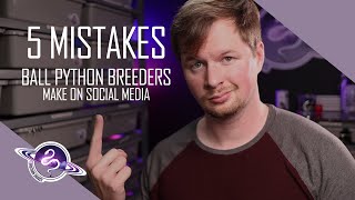 5 Mistakes Ball Python Breeders Make On Social Media