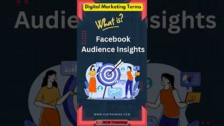 What is Facebook Audience Insights in digital marketing #DigitalMarketingGlossary