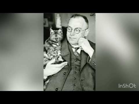 Cornelis Dopper - Symphony No. 1 (Diana) - Restored Audio