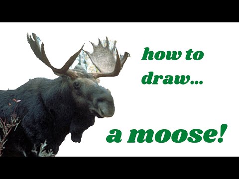 How to Draw a Moose/Moose Sketch