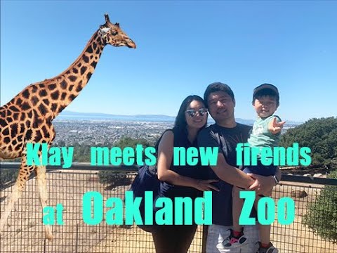 OAKLAND ZOO WHEN TRAVELING WITH KIDS I San Francisco MUST GO [FAMILY VLOG] 오클랜드 동물원 샌프란시스코 라이프