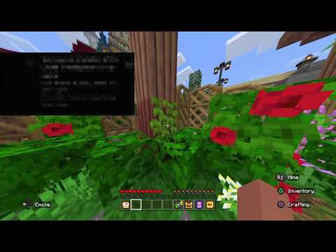 Minecraft with viewers!