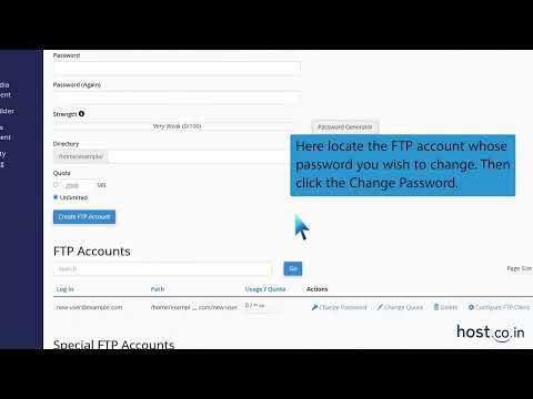 How to change the password of the File Transfer Protocol FTP Account in cPanel   Host co in