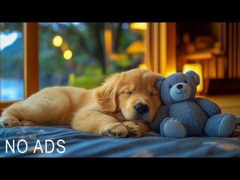Soothing Music for Anxious Dogs🐶Deep Relaxing Music for Dogs💗Anti-Stress Music