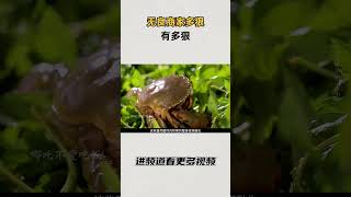 无良商家有多狠 #知识 #趣闻 #历史