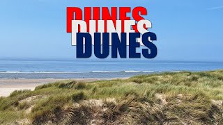 The Hidden Ecosystem Behind Dutch Dunes (Nature Nobody Talks About)