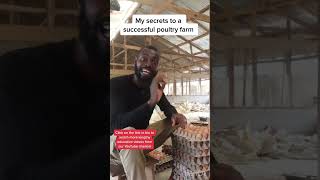How To Succeed As a Poultry Farmer #farming #farminginafrica