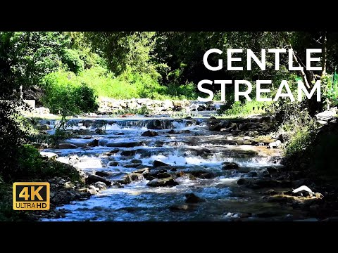 Gentle Stream Sounds | 2 hours of Relaxing river sounds , Running Water, Stress Relief Music, Zen