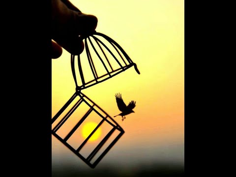 hindi motivational song