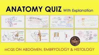 Anatomy MCQs, Abdomen MCQ, Embryology MCQ, Histology MCQ, Anatomy Quiz #neetpg
